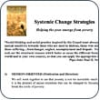Systemic Change Strategies (Document/Handout)