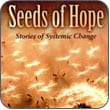 Seeds of Hope: Stories of Systemic Change